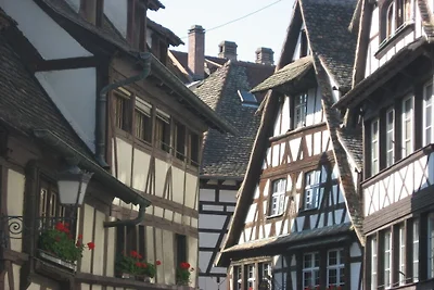 Ferienhaus Erholungsurlaub Freiburg