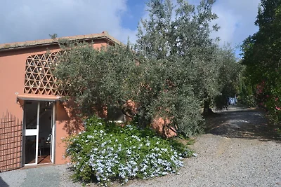 Tranquilla casa vacanze con giardino