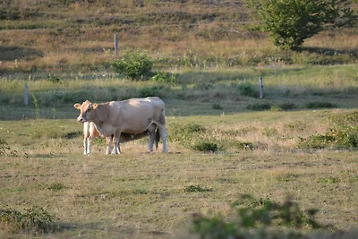 7 Personen Ferienhaus in Knebel-By Traum