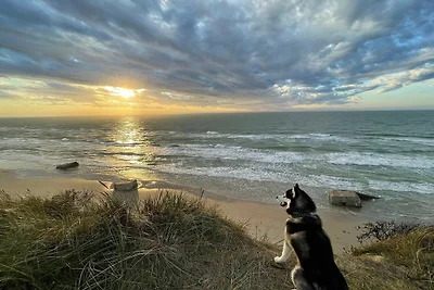 Verstecktes Paradies mit Pool -- By Traum...