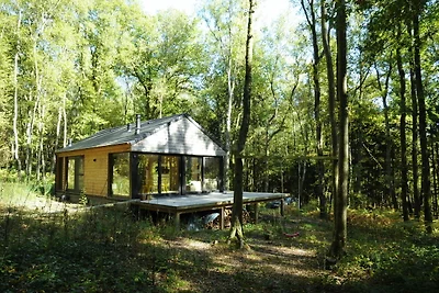 Chalet moderno situato nel bosco