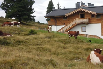 Chalet Lang in Hochkrimml voor 6 personen