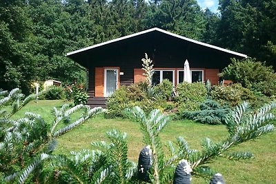 Vakantiehuis Chalet Harmonie