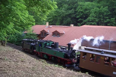 1 "Lößnitzgrund"