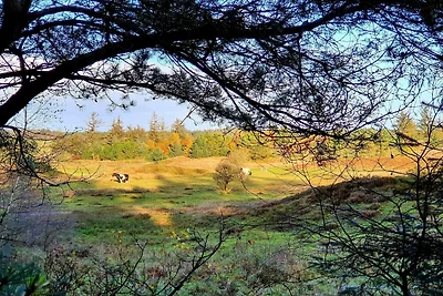 8 persoons vakantie huis in Fjerritslev-By...