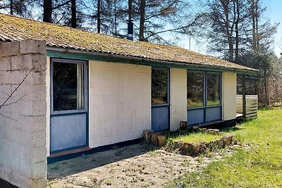 6 persone case ad Hadsund