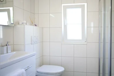Vakantiehuis in Velsen-zuid met terras