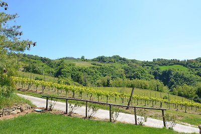 Denkmalgeschütztes Ferienhaus in Modigliana m...