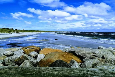 6 Personen Ferienhaus in Ålbæk