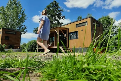 Vakantiehuis nabij natuurgebied Rottige