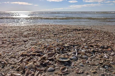 6 Personen Ferienhaus in Fanø-By Traum