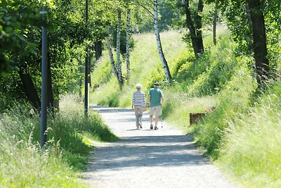 Renovierte Wohnung mit Sauna bei Vielsalm