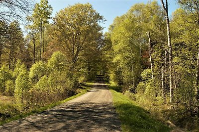 6 Personen Ferienhaus in LÖNASHULT