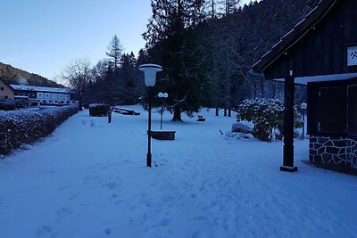 Ferienwohnung im Oberharz in Wildemann