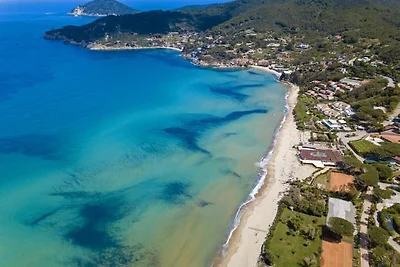 FIORI DI MARE - FIORI DI MARE