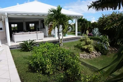 Villa sull'albero del viaggiatore