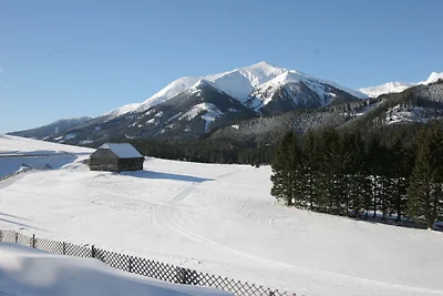 Chalet in Hohentauern bij Skilift