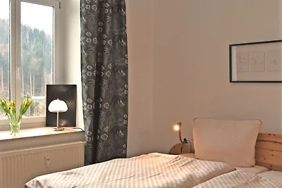 Hübsche Wohnung mit Terrasse bei Borstendorf