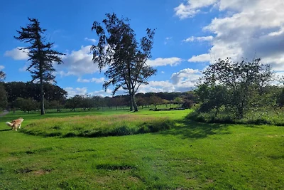 8 Personen Ferienhaus in Sæby-By Traum