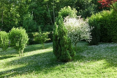 Spaziosa villa con piscina privata