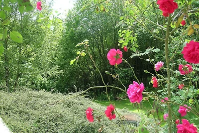 Garten (Sommer) Garten (Sommer)