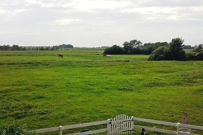 Ferienwohnungen, Tönning-ehemals TUI...