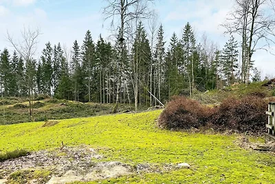6 Personen Ferienhaus in PRÄSSEBO-By Traum