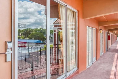 Silver Springs FL | Letto king size
