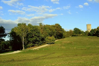 Stelzenmühle Reichelsburgblick