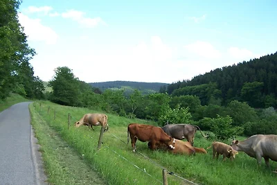 Kuća za odmor Dopust za oporavak Flörsbachtal