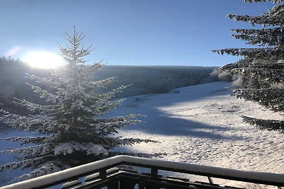 Ritiro sullo stagno a Winterberg