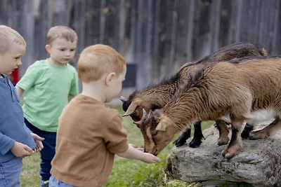 Kuća za odmor Dopust za oporavak Colmberg