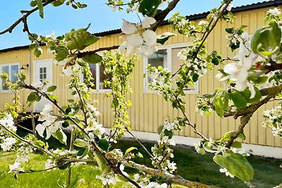 5 Personen Ferienhaus in Romakloster-By Traum