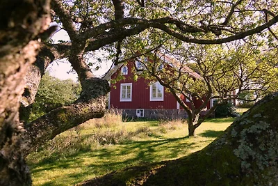 Vakantiehuis in Torsas met zwembad