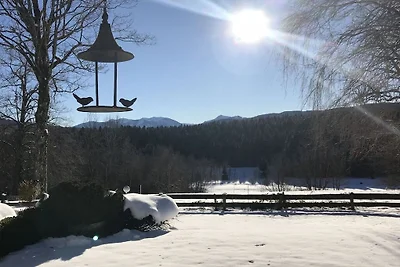 Vakantiehuis in Miesbach met zwembad