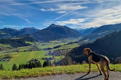 Hondvriendelijk vakantiehuis in Flachau