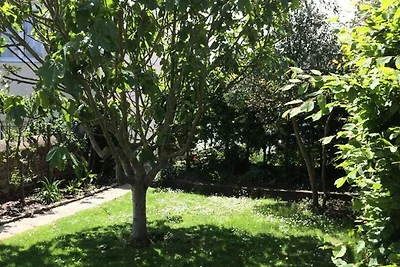 Haus in Trégastel in der Nähe der rosa...