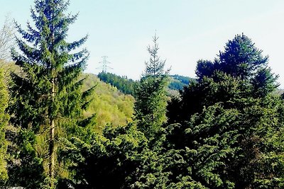 Chalet mit Terrasse in La Roche-en-Ardenneon