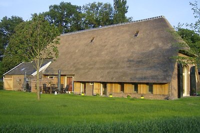Ruhiger Bauernhof in Geesteren am Waldrand