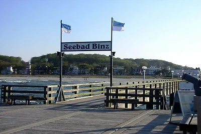 Haven, Maßgeschneiderte...