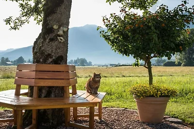 Kehlstein - Guesthouse Dankllehen