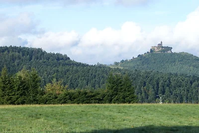 Wunderschönes Chalet mit Terrasse in Dabo