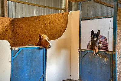 Bauernhaus mit 1 Schlafzimmer in Beaworthy, K...