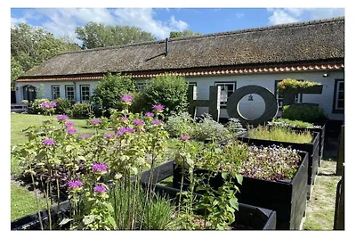 Ferienhaus mit 1 Schlafzimmer