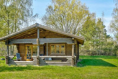 6 Personen Ferienhaus in Eskebjerg-By Traum