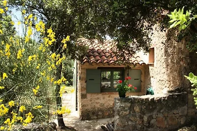 Häuser & Villen für 5 Personen