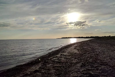 12 Personen Ferienhaus in Rødby-By Traum