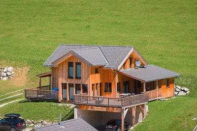 Premium Chalet mit Terrasse