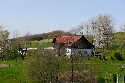 Vakantiehuis in Windeck met zwembad