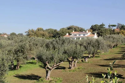 Villa Stauder - Melograno